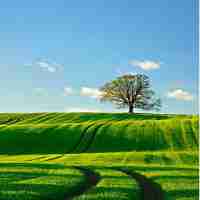 移‌动﻿端​app测‍试‌工﻿具​有‌哪‌些﻿